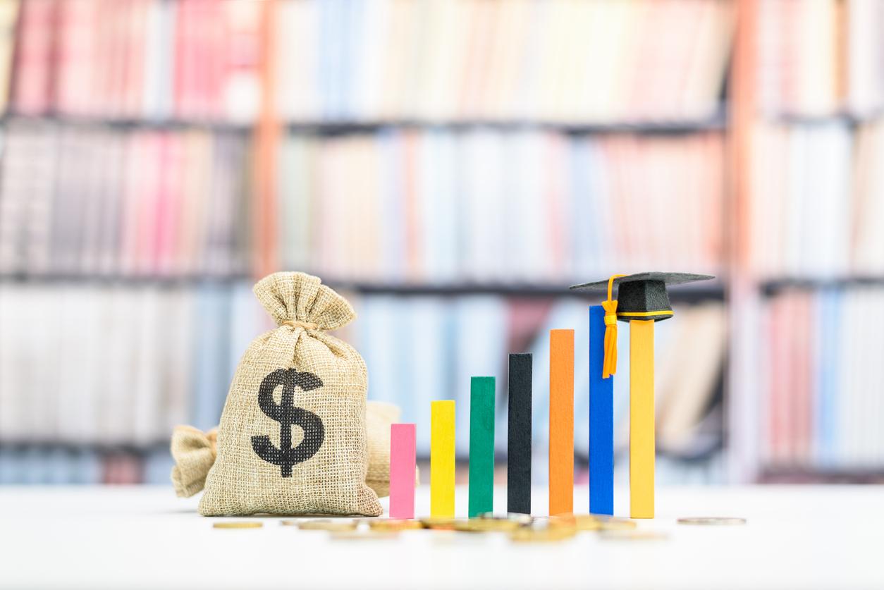 Maximizing Paid Advertising for Education: Allocating Budgets for Higher Enrollment Rates